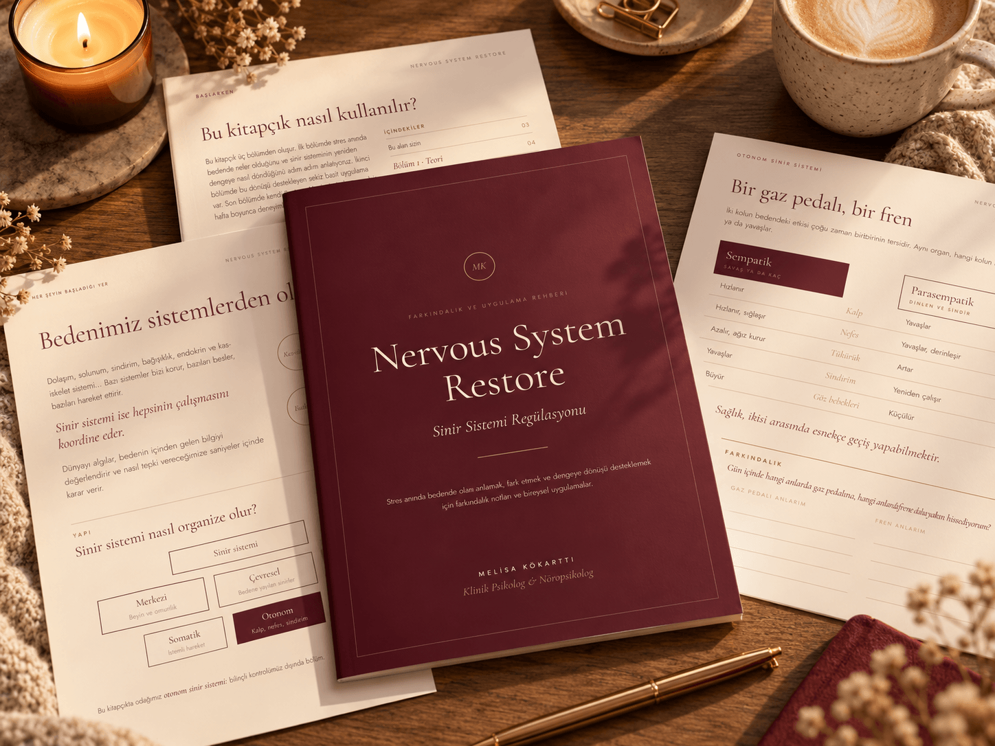 Nervous System Restore: Sinir Sistemi Regülasyonu Farkındalık Ve Uygulama Rehberi