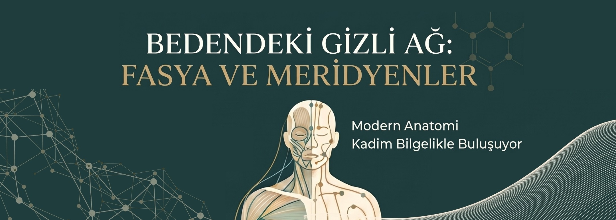 Bedendeki Gizli Ağ: Fasya ve Meridyenler