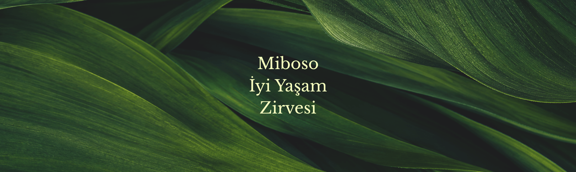 Miboso İyi Yaşam Zirvesi