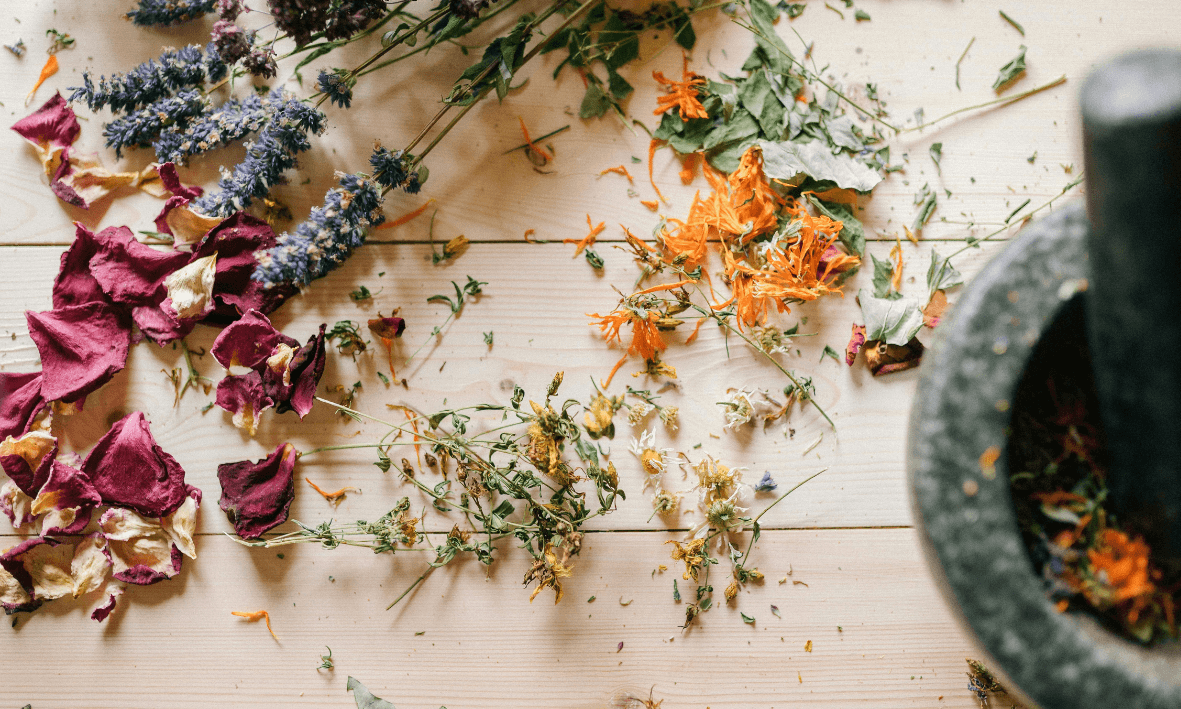 Naturopatik Bitki Temelli Danışmanlık (İlk Görüşme)