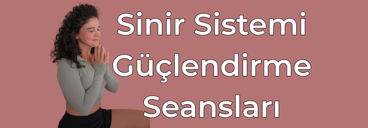 Kendi Sinir Sisteminizin Zekasını Anlamak, Tanımak; Esneklik Ve Dayanıklığınızı Artırmak İçin Somatik Destekli İyi Oluş Seansları