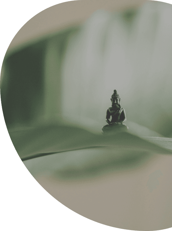 Session Hero Background Image