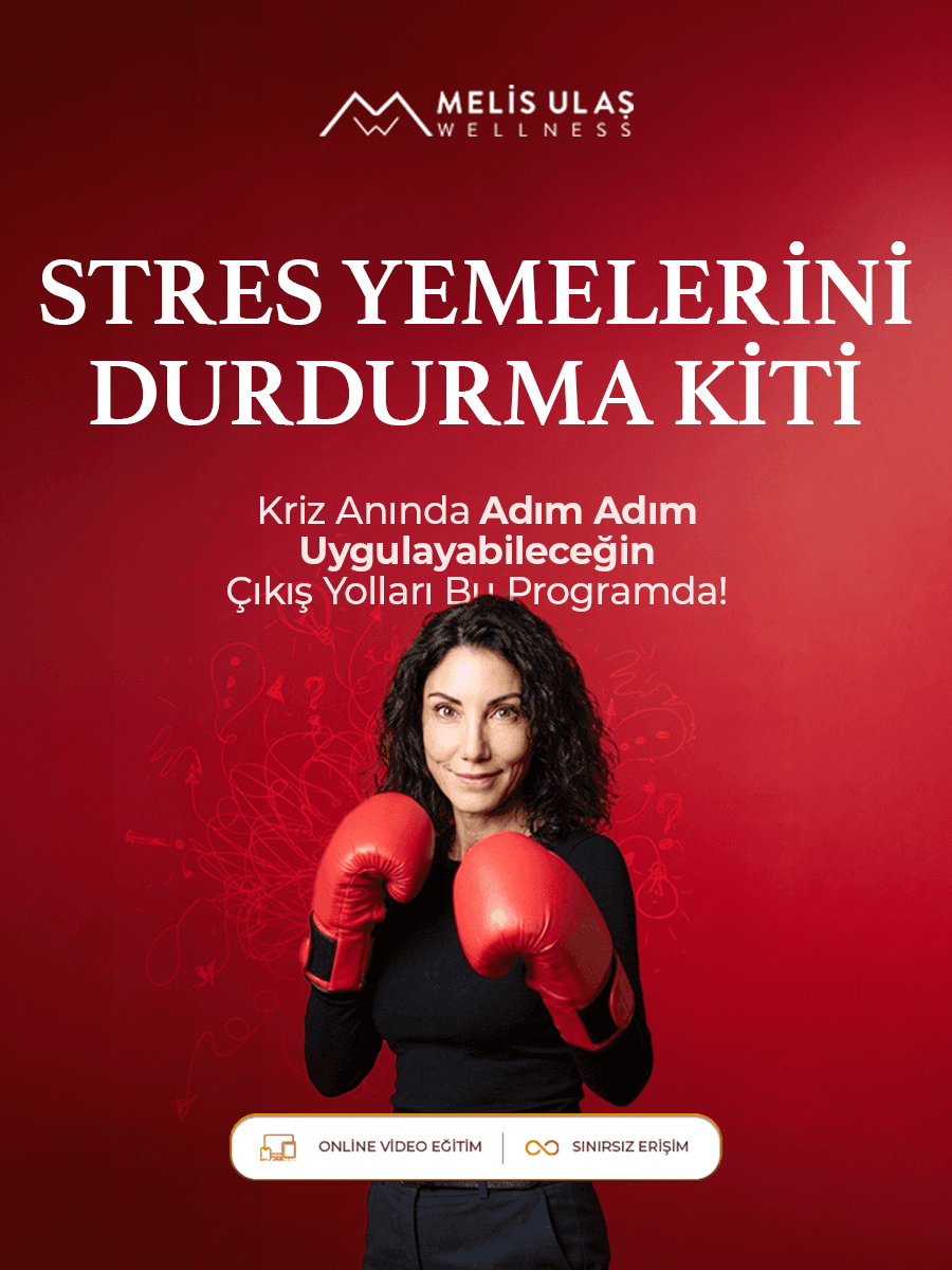 STRES YEMELERİNİ DURDURMA KİTİ (Sınırsız Erişim)