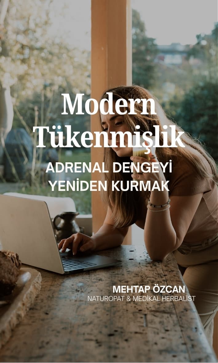 Modern Tükenmişlik: Adrenal Dengeyi Yeniden Kurmak