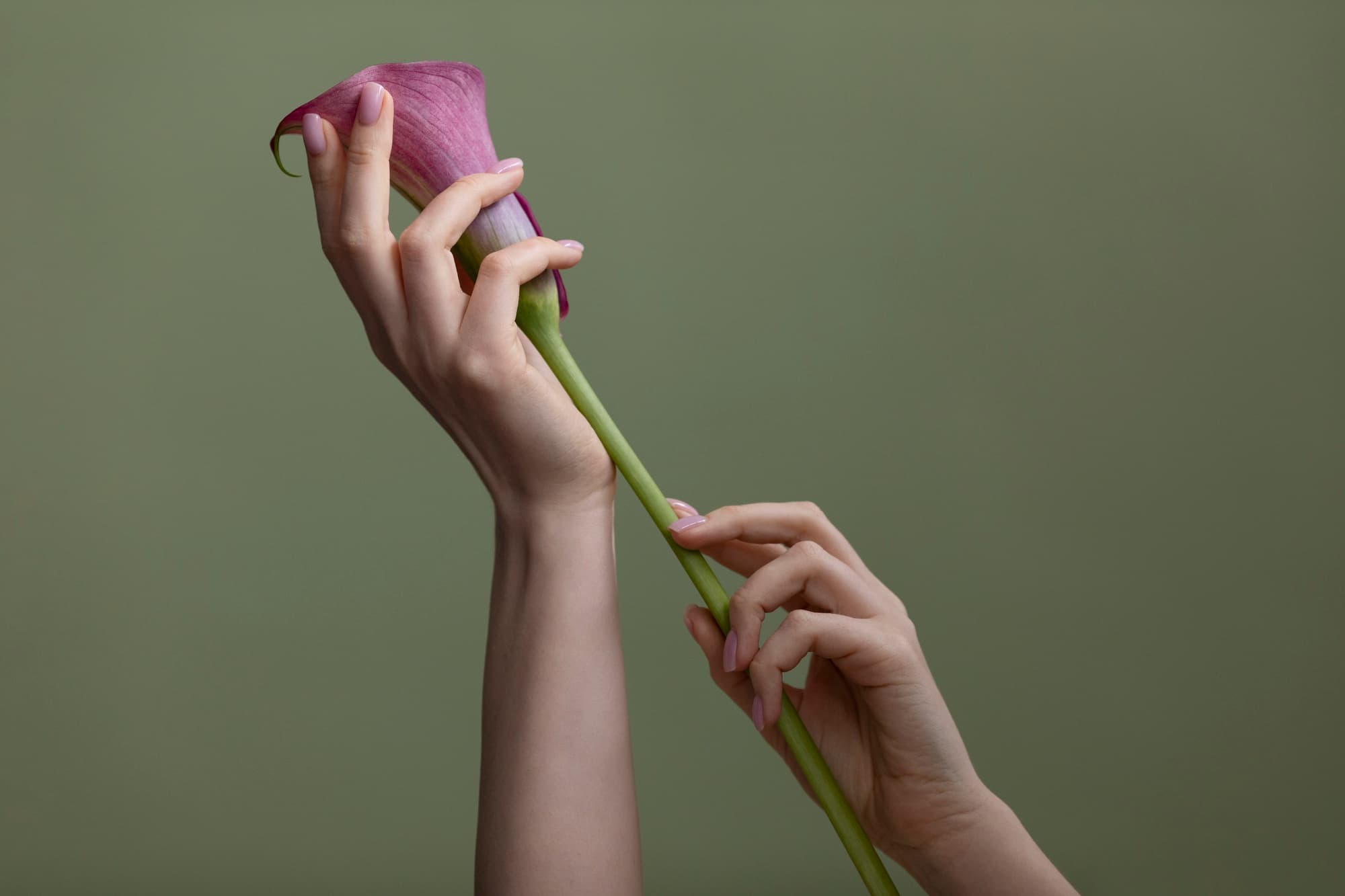 40+ Kadınlarda Hormon Enerji Metabolizma Değişimini Yönetmek 