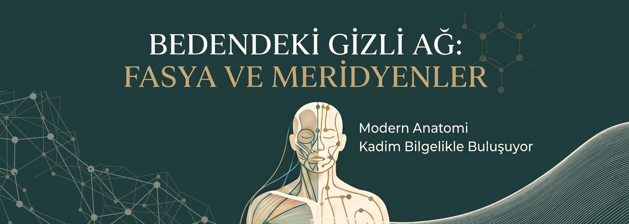 Bedendeki Gizli Ağ: Fasya ve Meridyenler