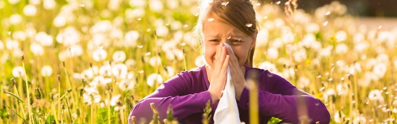 Alerjik Reaksiyonlardan Koruyucu Yaşama Aromaterapi Rehberi