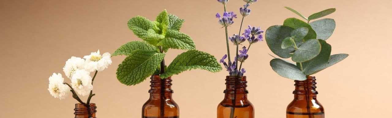 Bakteriler Kokuları Duyar mı? | Mikrobiyota ve Aromaterapiye Bilimsel Bir Giriş