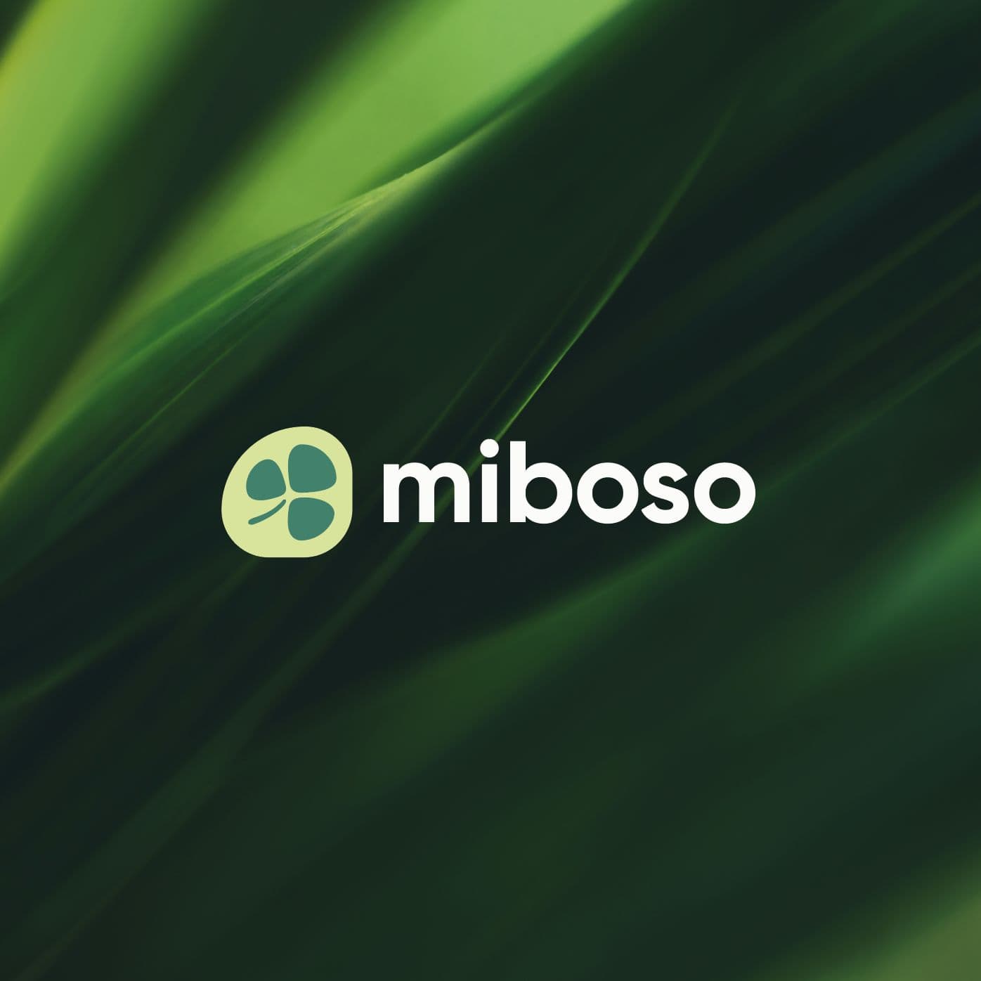 Miboso