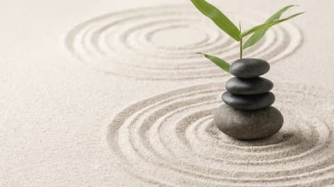 Mindfulness Temelli Sağlıklı Sınırlar