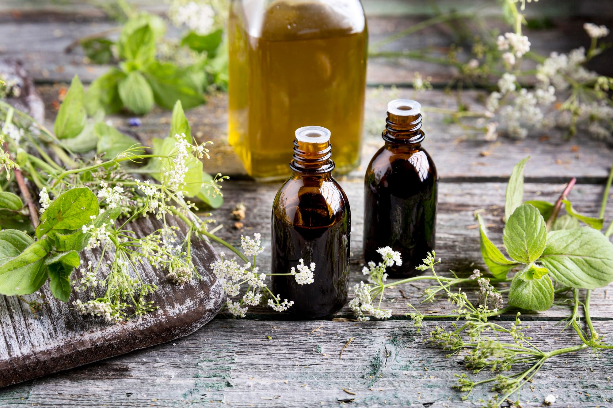 Homeopatiye Giriş Eğitimi